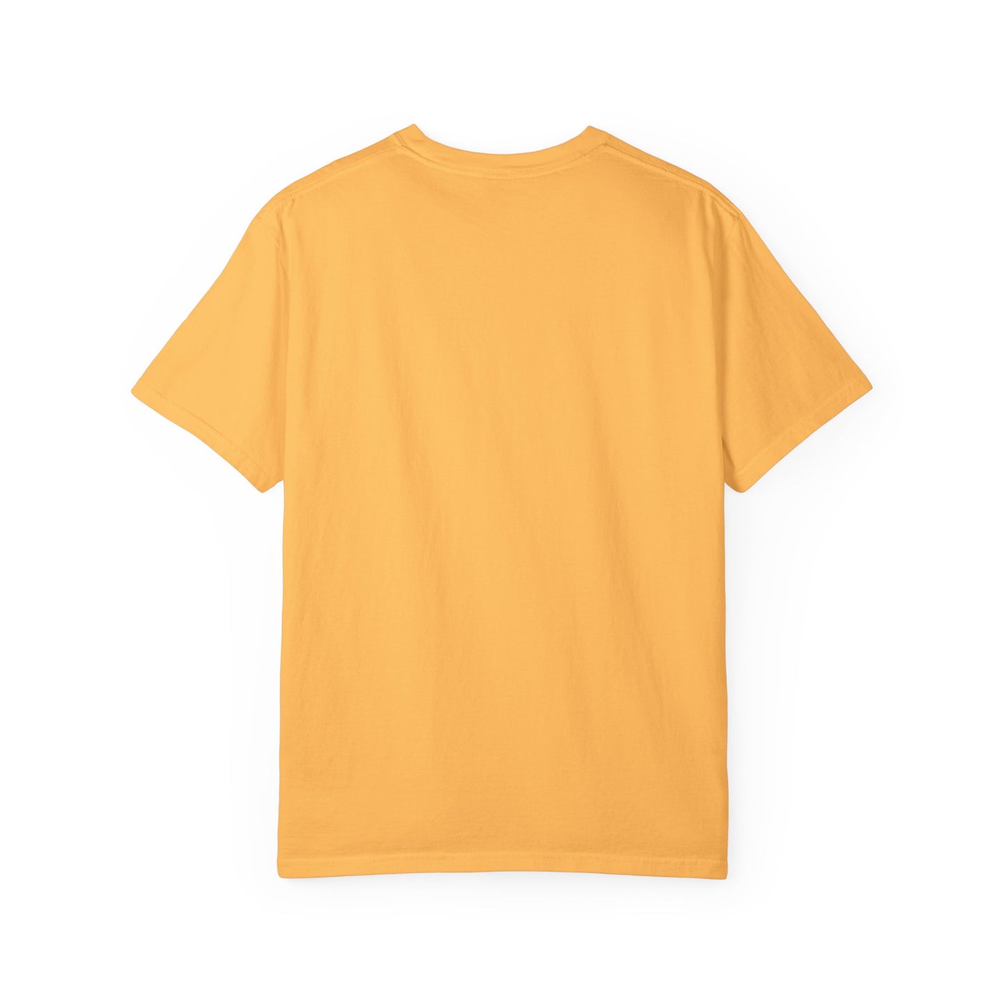 Drippy Unisex Garment-Dyed Adult T-shirt - The Eggy's store