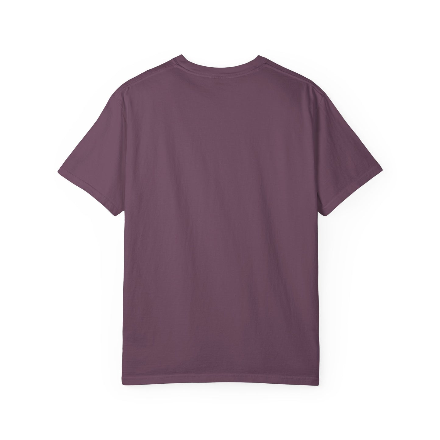 Drippy Unisex Garment-Dyed Adult T-shirt - The Eggy's store
