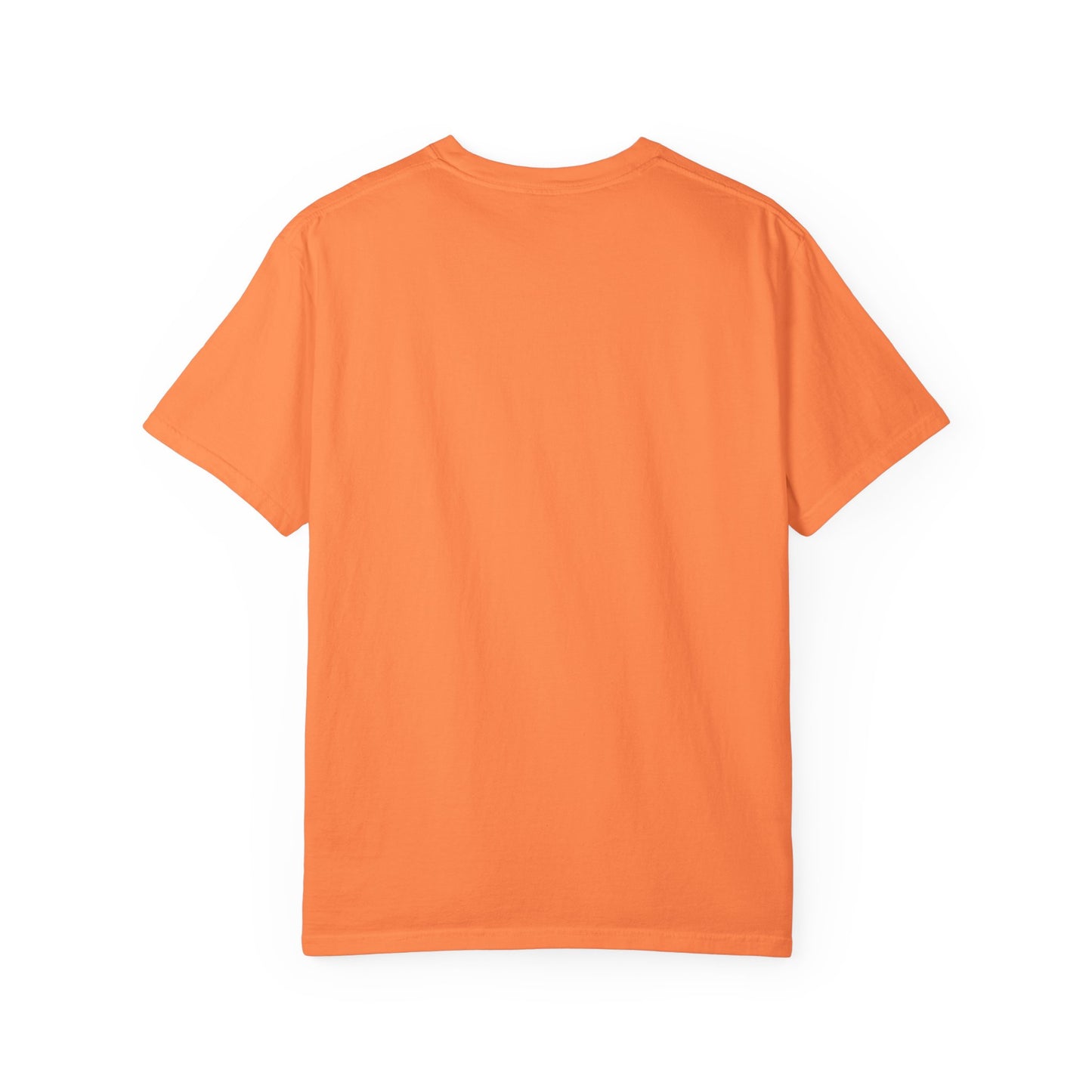 Drippy Unisex Garment-Dyed Adult T-shirt - The Eggy's store