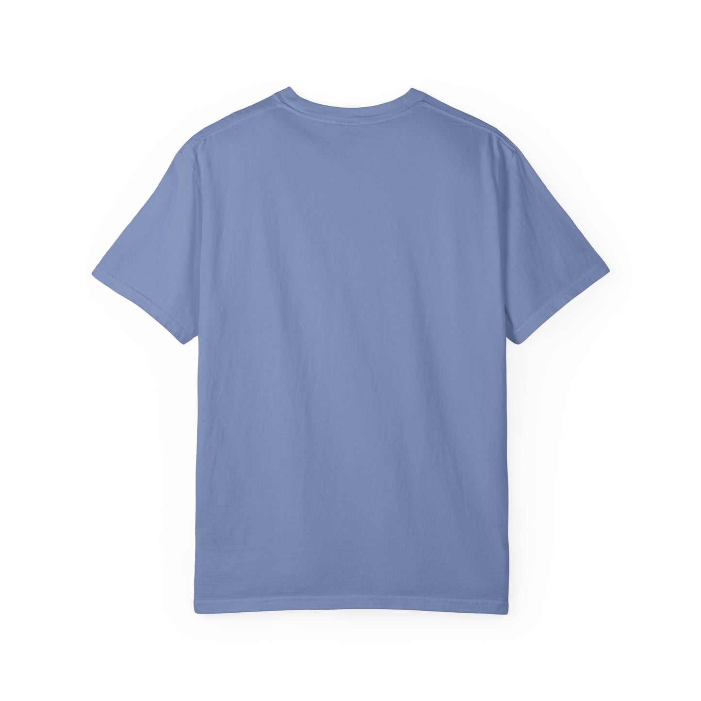 Drippy Unisex Garment-Dyed Adult T-shirt - The Eggy's store