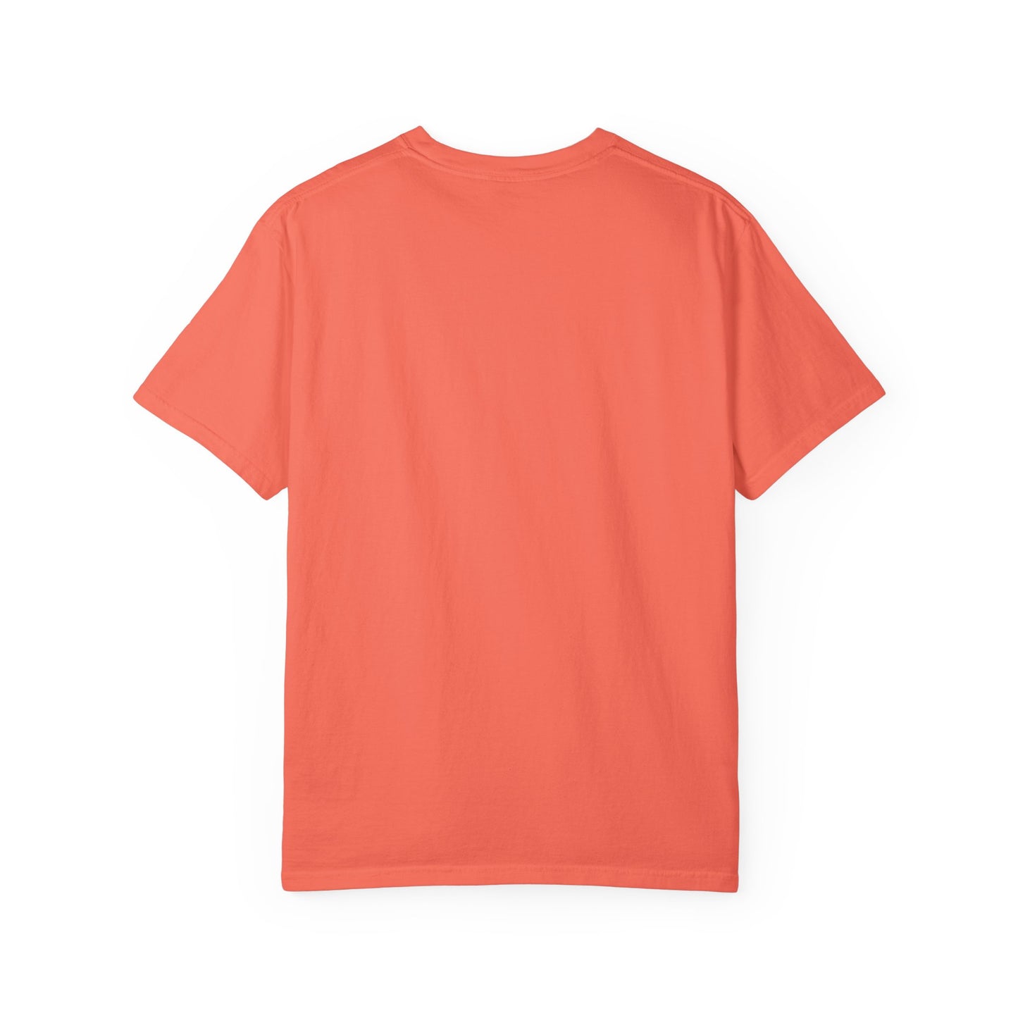 Drippy Unisex Garment-Dyed Adult T-shirt - The Eggy's store
