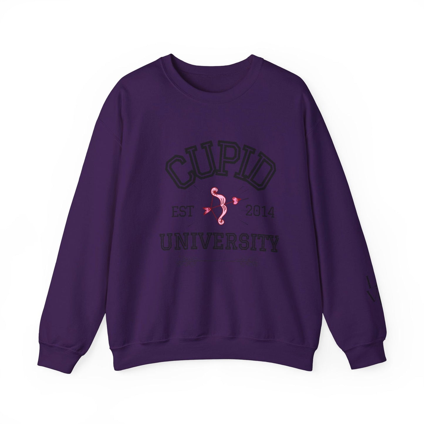 Crewneck Sweatshirt Cupid University Womens Long Sleeve Multiple Colors - The Eggy's store