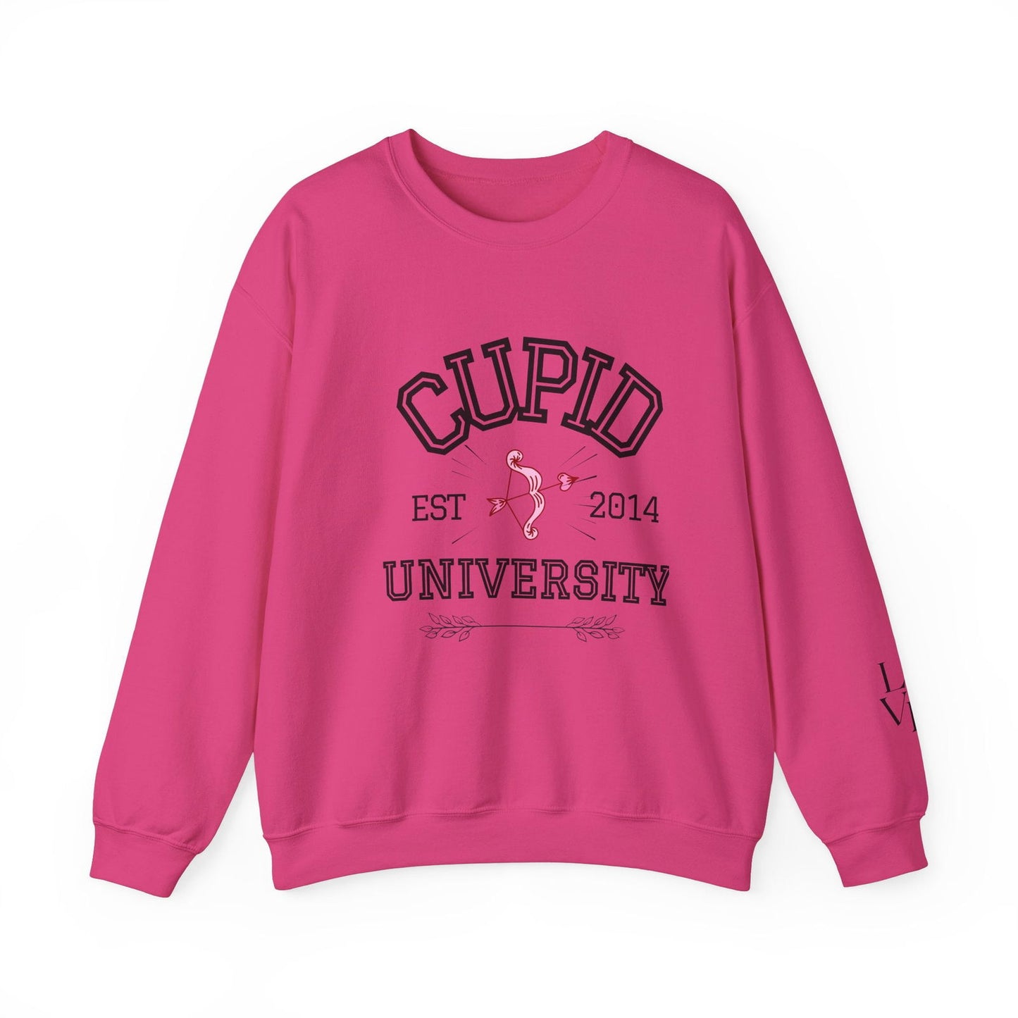 Crewneck Sweatshirt Cupid University Womens Long Sleeve Multiple Colors - The Eggy's store