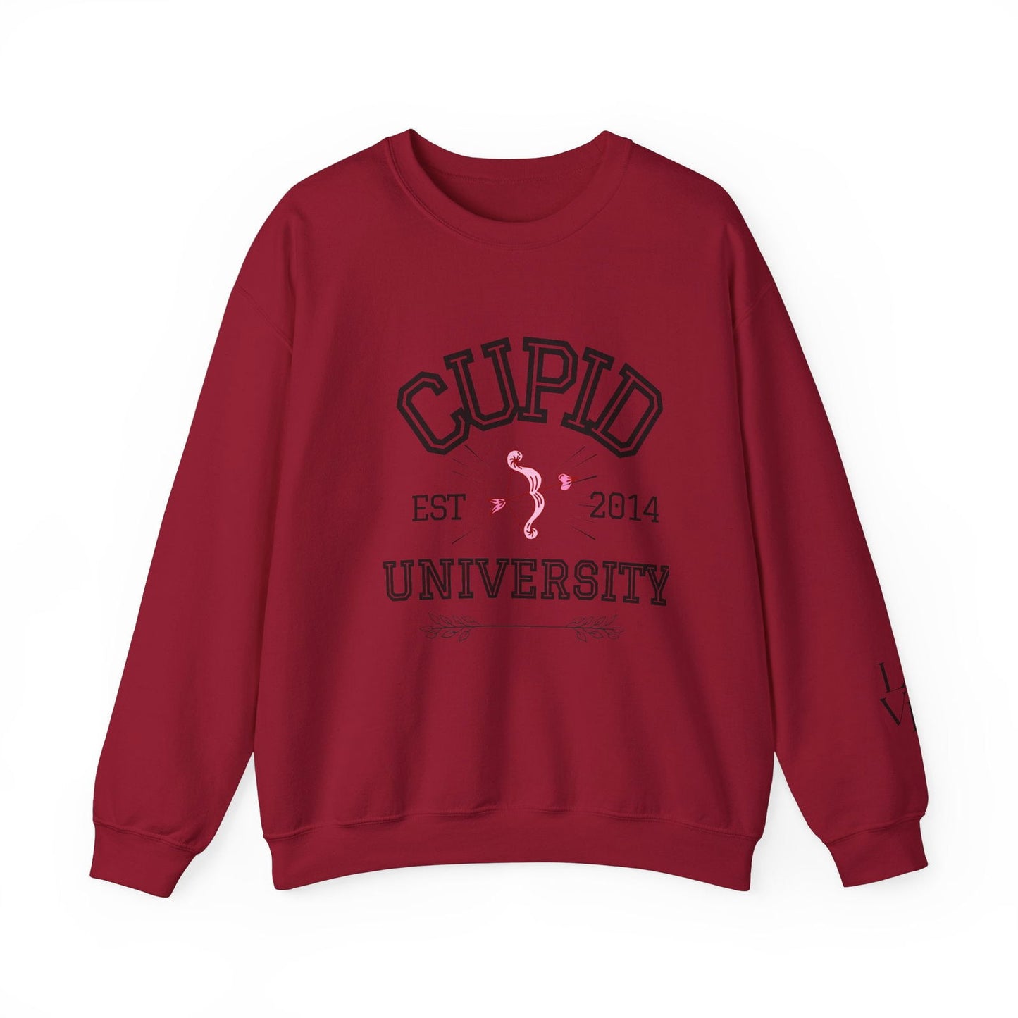Crewneck Sweatshirt Cupid University Womens Long Sleeve Multiple Colors - The Eggy's store