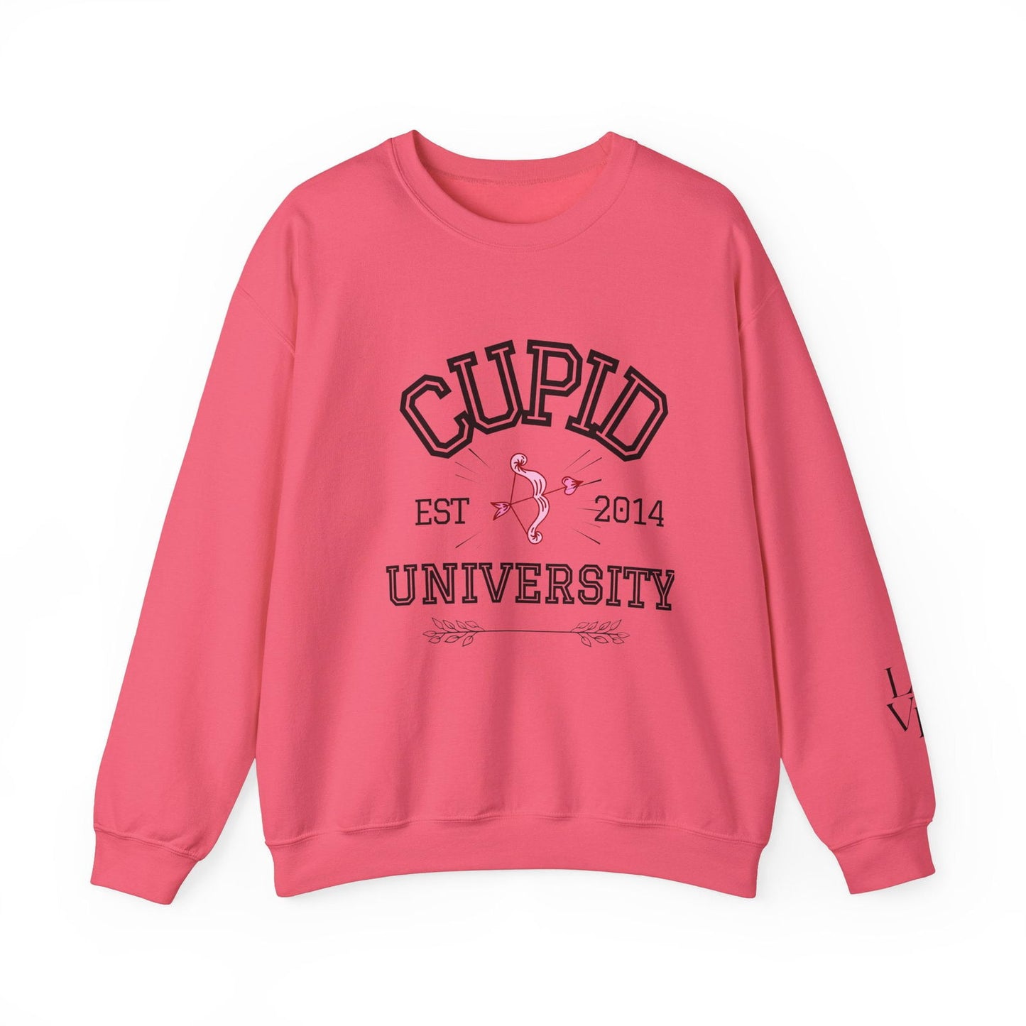 Crewneck Sweatshirt Cupid University Womens Long Sleeve Multiple Colors - The Eggy's store