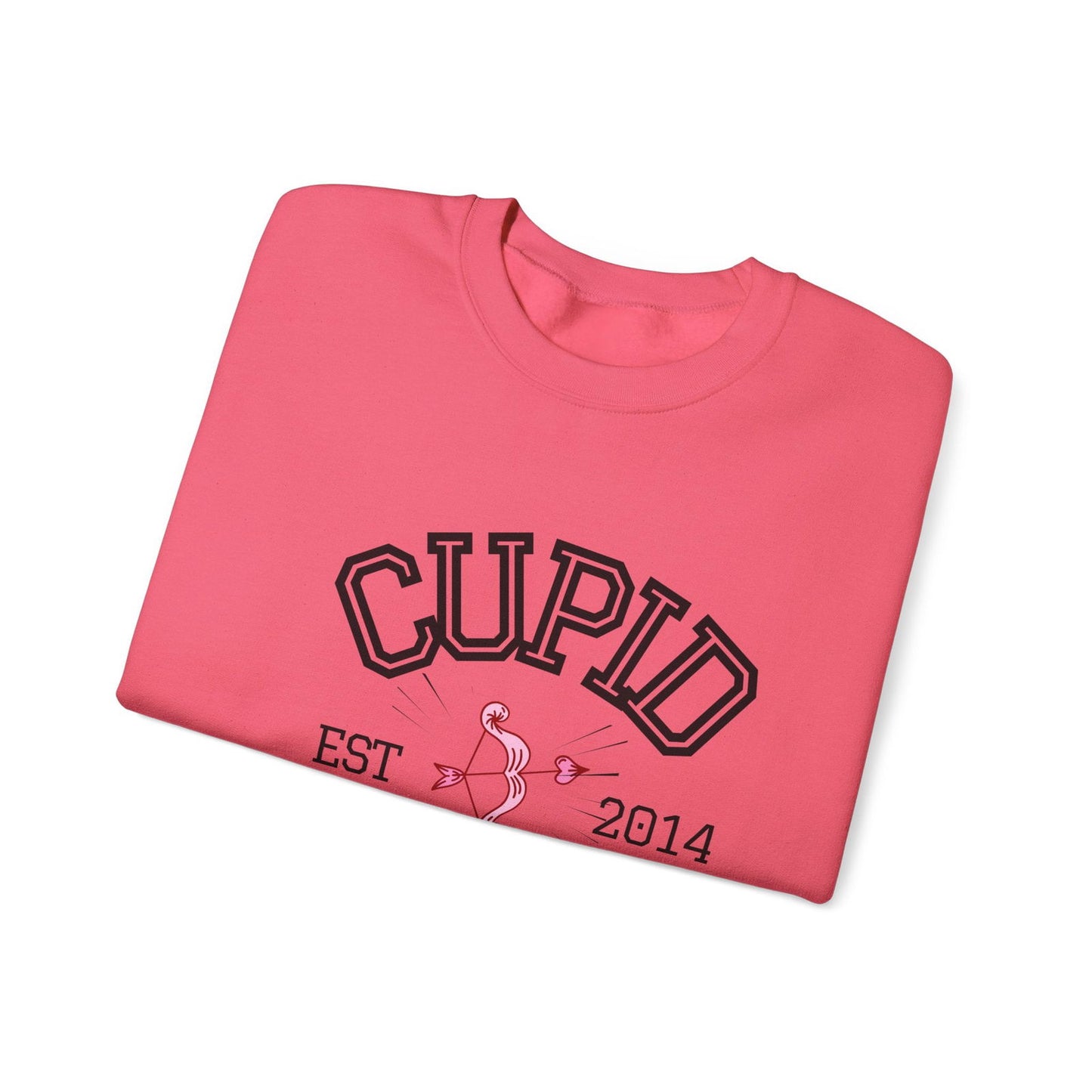 Crewneck Sweatshirt Cupid University Womens Long Sleeve Multiple Colors - The Eggy's store