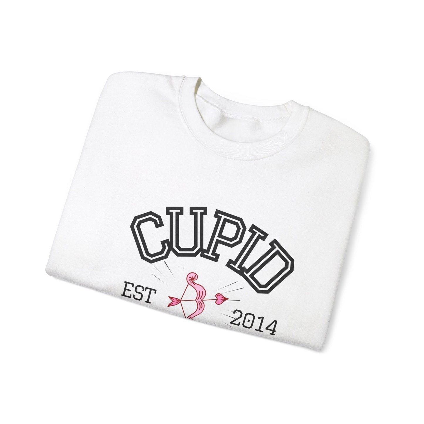 Crewneck Sweatshirt Cupid University Womens Long Sleeve Multiple Colors - The Eggy's store