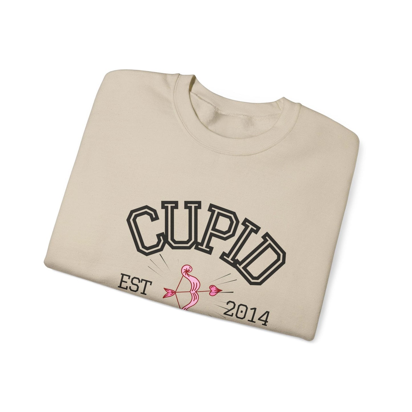 Crewneck Sweatshirt Cupid University Womens Long Sleeve Multiple Colors - The Eggy's store