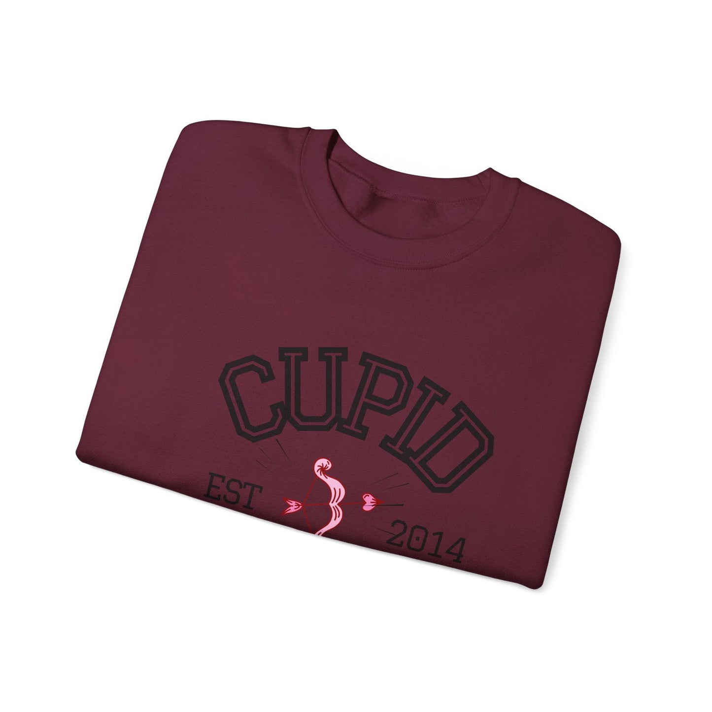 Crewneck Sweatshirt Cupid University Womens Long Sleeve Multiple Colors - The Eggy's store
