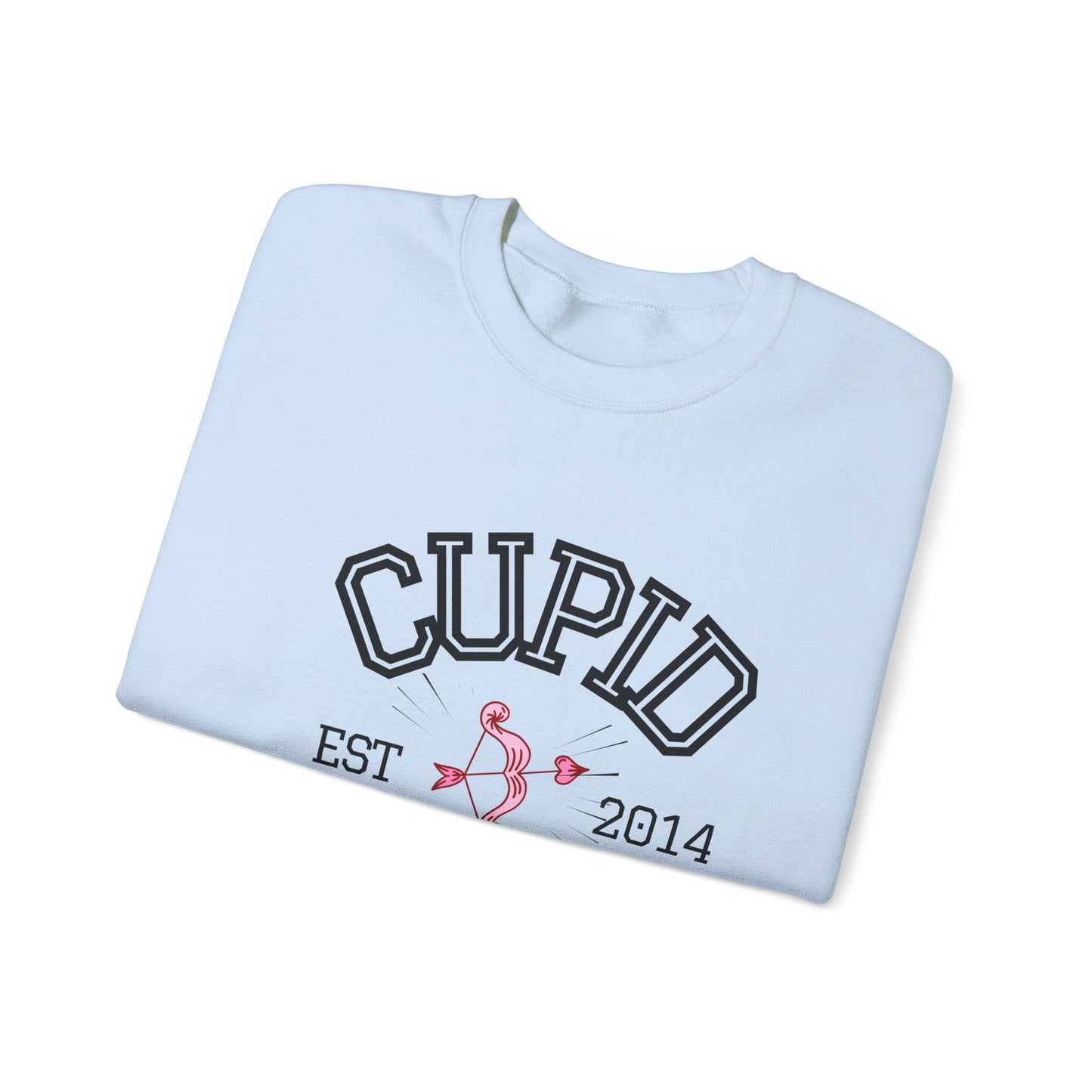 Crewneck Sweatshirt Cupid University Womens Long Sleeve Multiple Colors - The Eggy's store