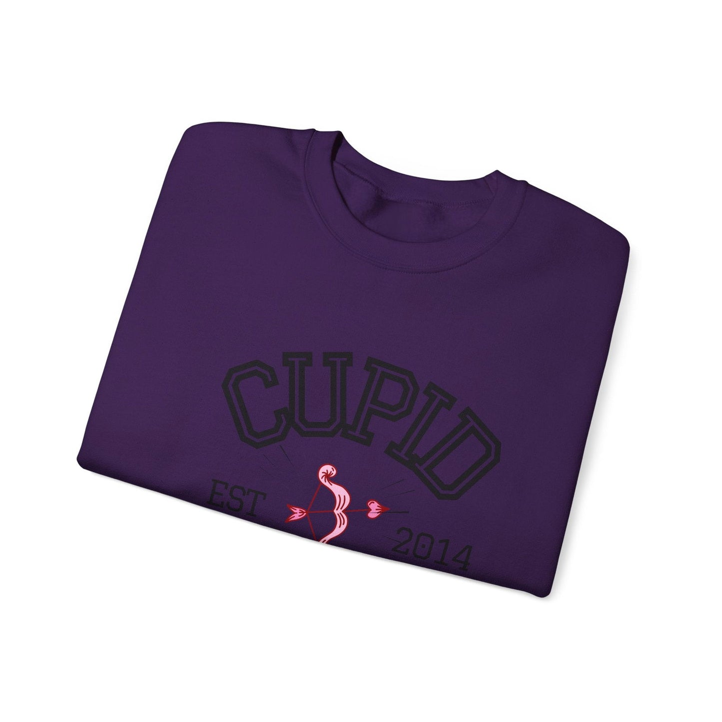 Crewneck Sweatshirt Cupid University Womens Long Sleeve Multiple Colors - The Eggy's store