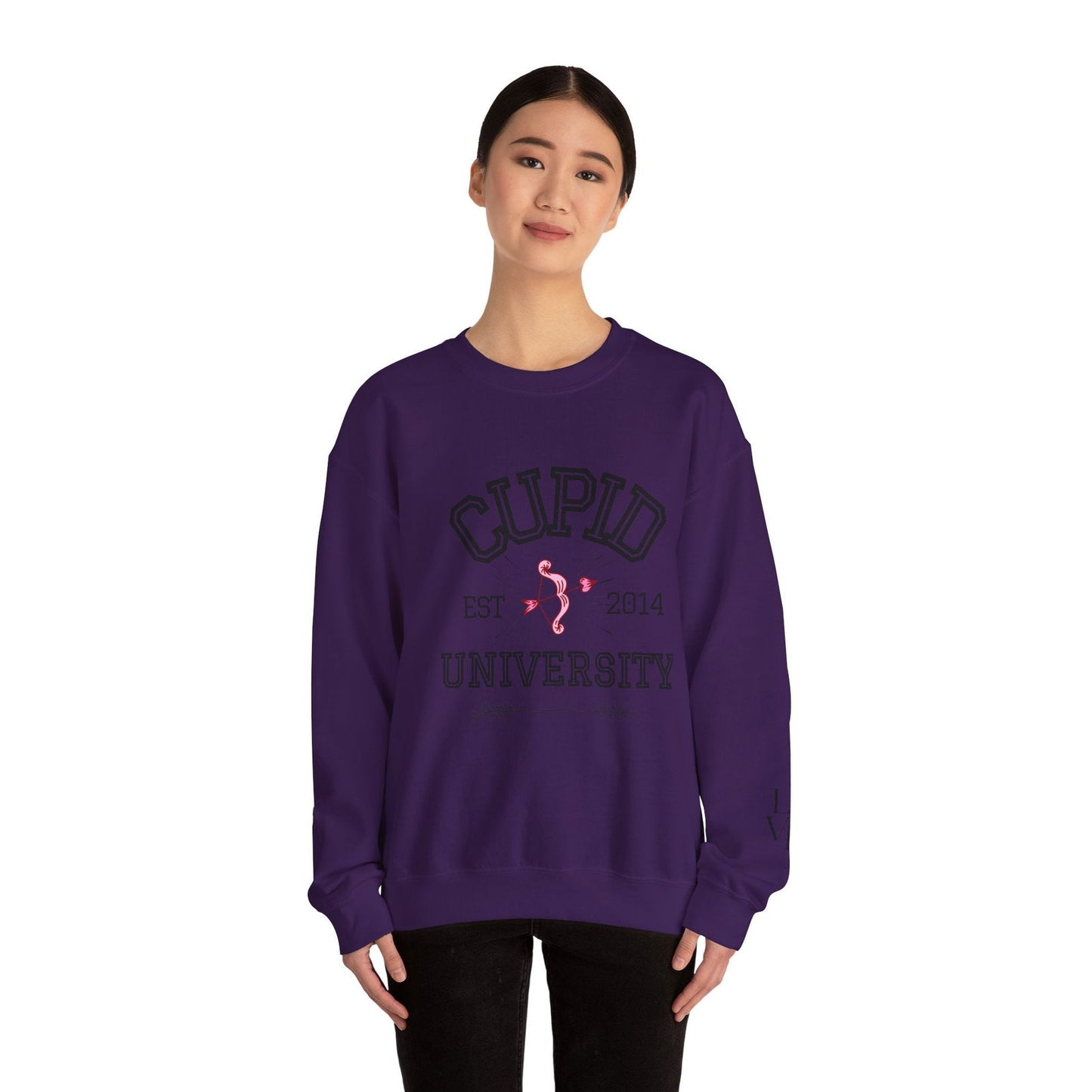 Crewneck Sweatshirt Cupid University Womens Long Sleeve Multiple Colors - The Eggy's store