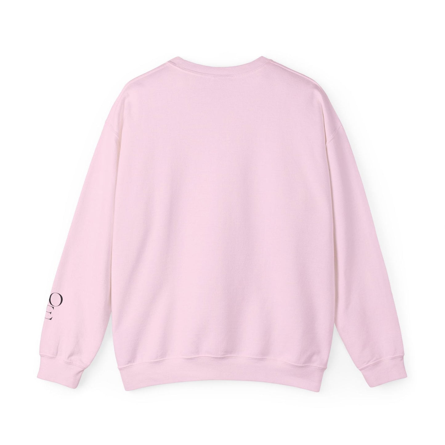Crewneck Sweatshirt Cupid University Womens Long Sleeve Multiple Colors - The Eggy's store