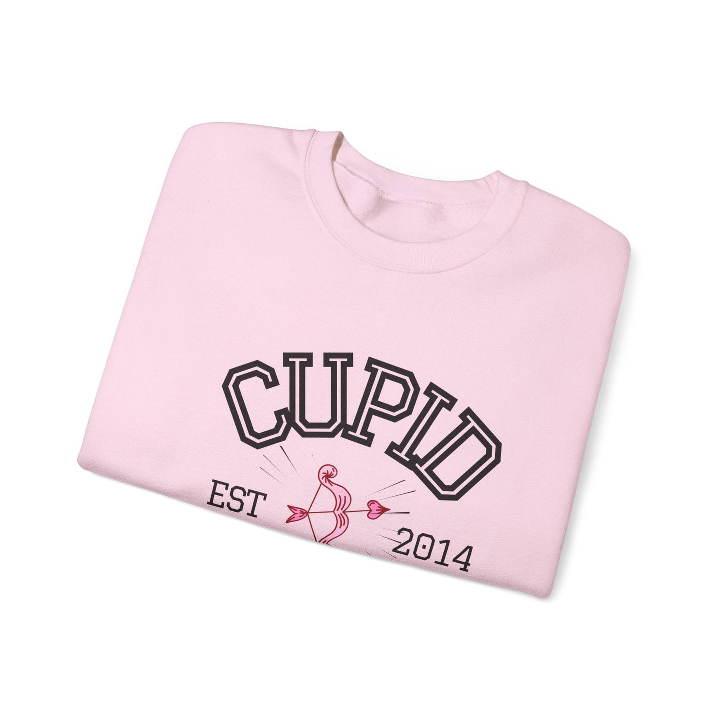 Crewneck Sweatshirt Cupid University Womens Long Sleeve Multiple Colors - The Eggy's store
