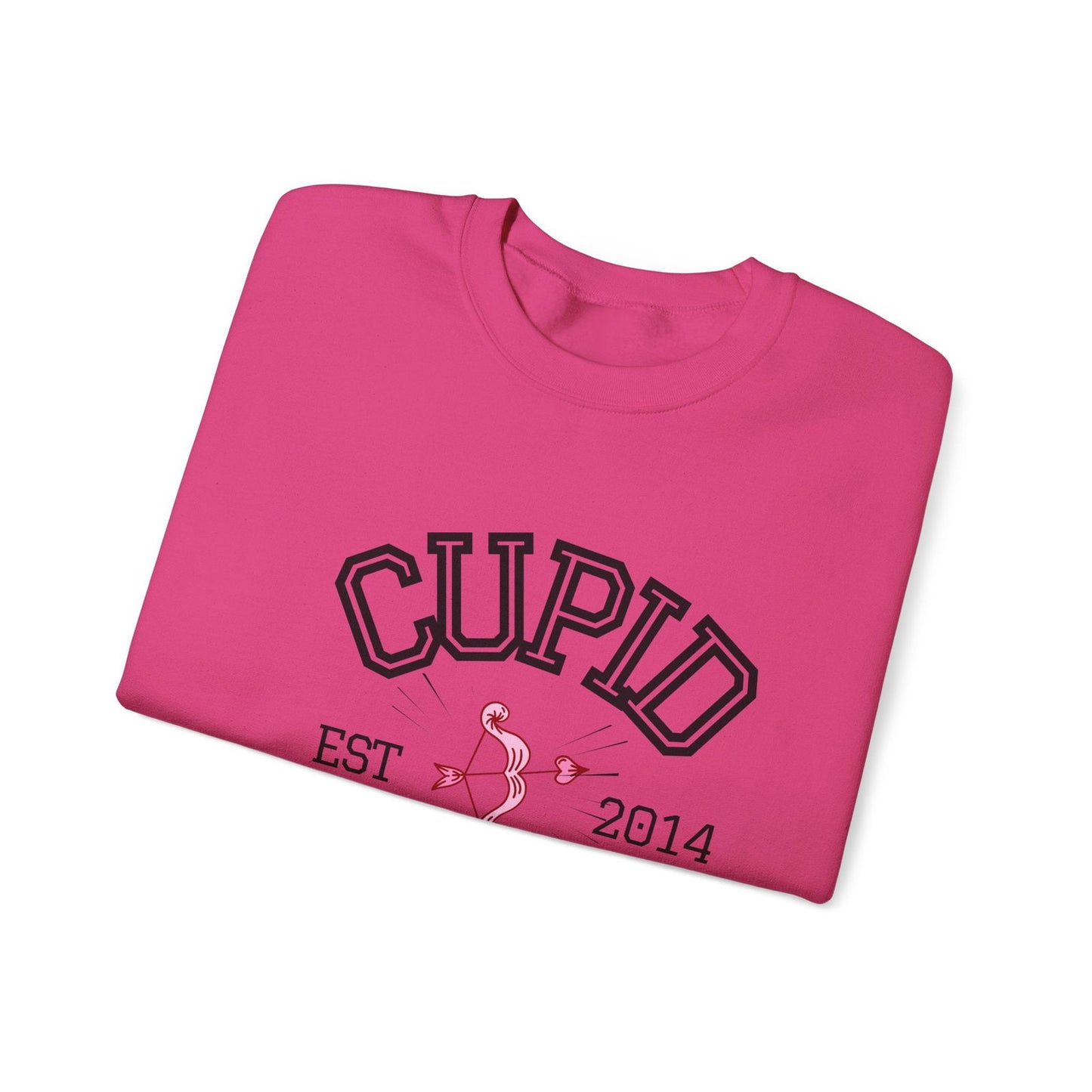 Crewneck Sweatshirt Cupid University Womens Long Sleeve Multiple Colors - The Eggy's store