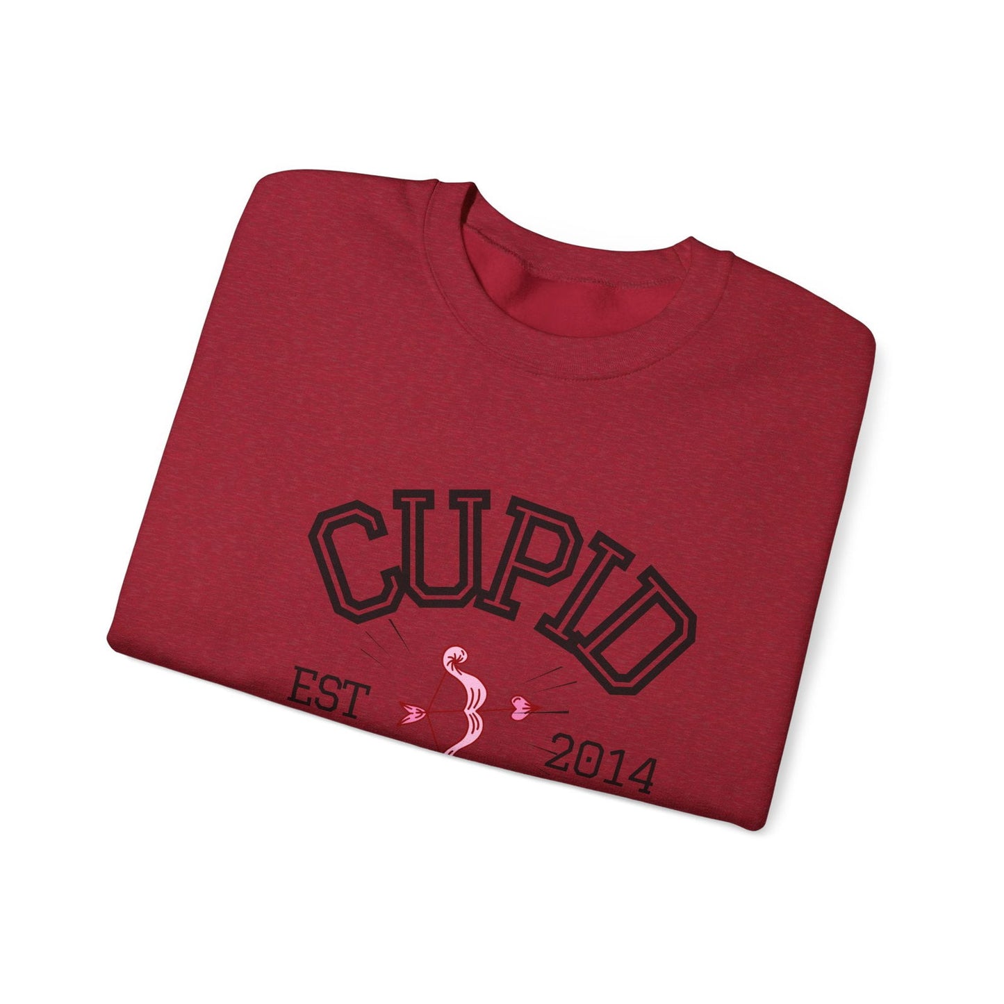 Crewneck Sweatshirt Cupid University Womens Long Sleeve Multiple Colors - The Eggy's store