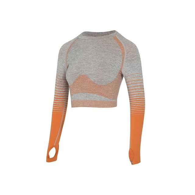Women's Seamless Yoga Set Long Sleeve