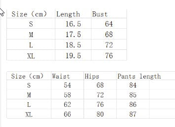 Quick Dry Fitness Leggings and Top for Women - The Eggy's store