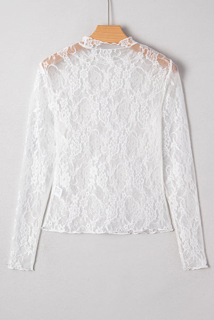 Sheer Lace Mesh Mock Neck Long Sleeve Top