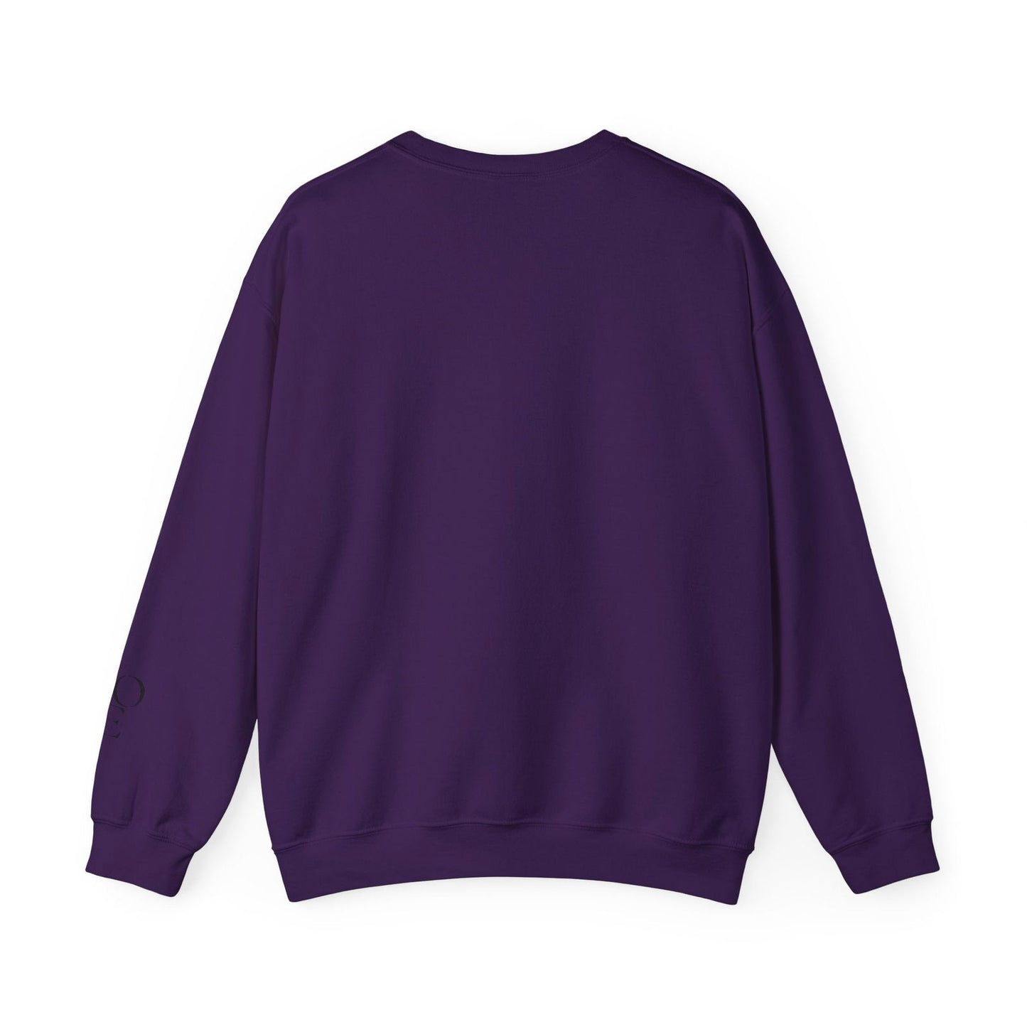 Crewneck Sweatshirt Cupid University Womens Long Sleeve Multiple Colors - The Eggy's store