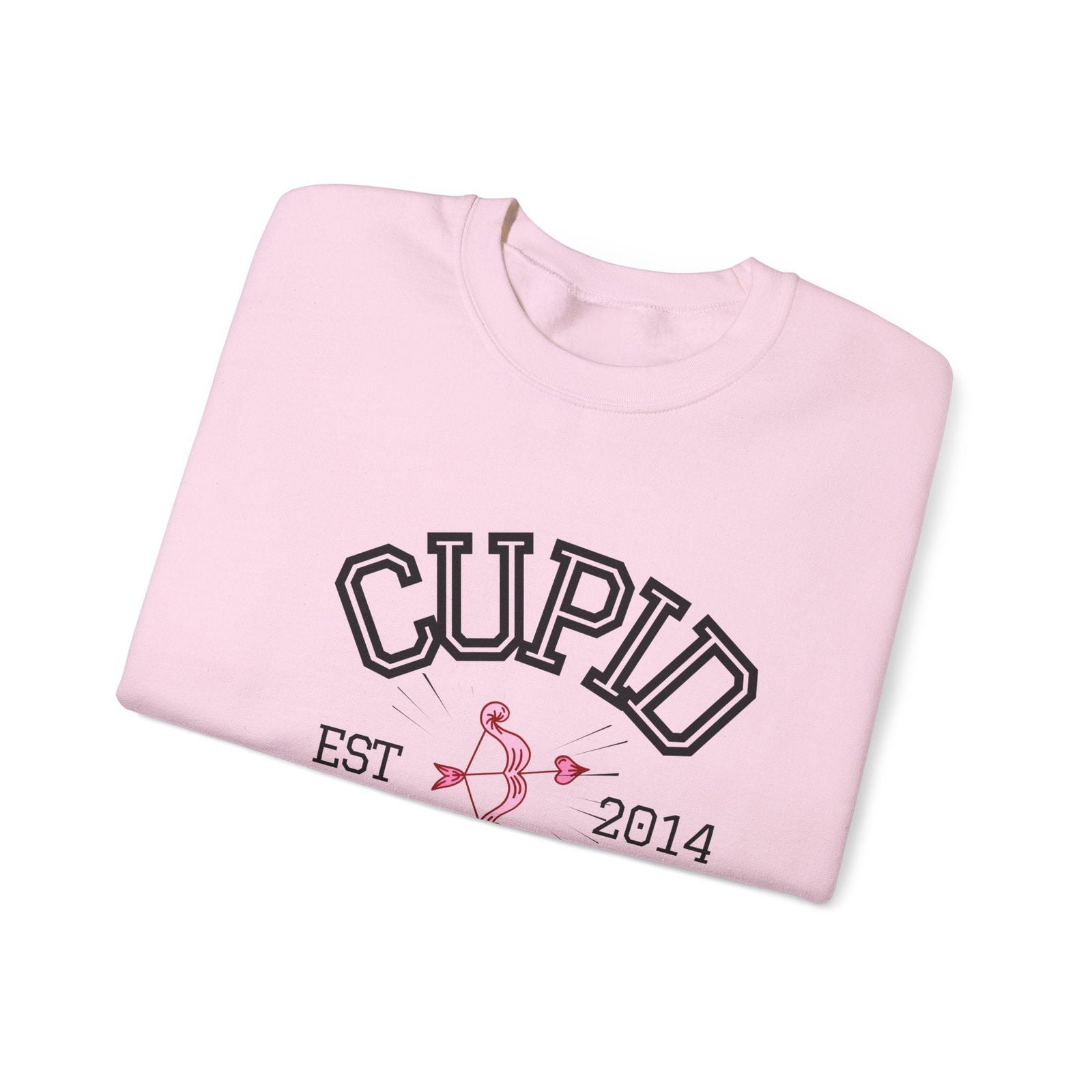 Crewneck Sweatshirt Cupid University Womens Long Sleeve Multiple Colors - The Eggy's store
