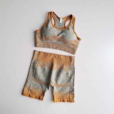 Women's Seamless Yoga Set Long Sleeve