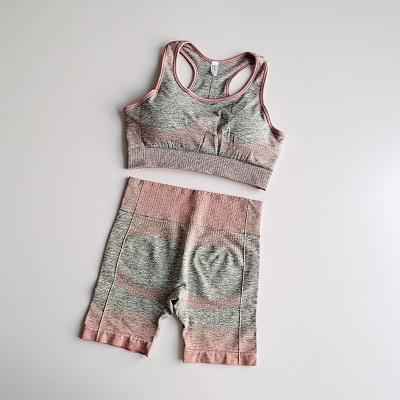 Women's Seamless Yoga Set Long Sleeve